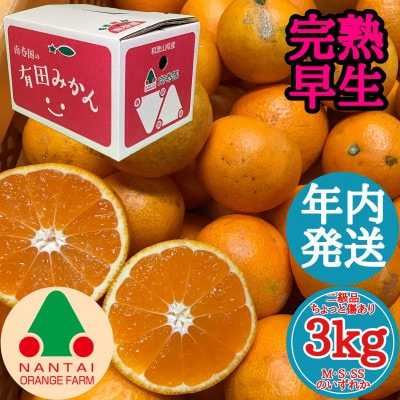 年内発送 ちょっと傷あり 完熟早生 有田みかん M～SS 3kg 和歌山県 有田川町産