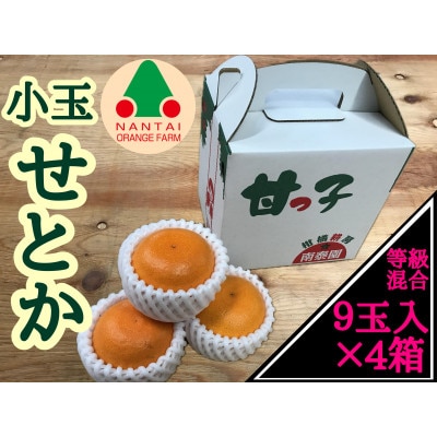 【甘っ子】小玉せとか9玉入/手さげ箱×4箱　和歌山県有田川町産