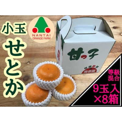 【甘っ子】小玉せとか9玉入/手さげ箱×8箱　和歌山県有田川町産