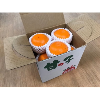 【甘っ子】小玉せとか9玉入/手さげ箱×8箱　和歌山県有田川町産