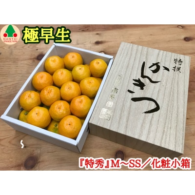 【南泰園の極早生・有田みかん】『特秀』M～SSサイズ約2kg/化粧小箱　和歌山県有田川町産