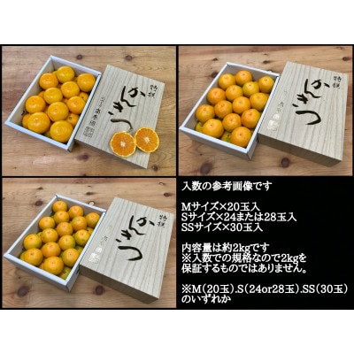 【南泰園の極早生・有田みかん】『特秀』M～SSサイズ約2kg/化粧小箱　和歌山県有田川町産