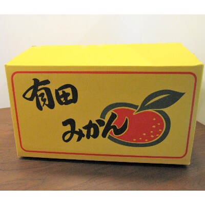 【ご家庭用】完熟有田みかん(10kg)(2024年12月発送)