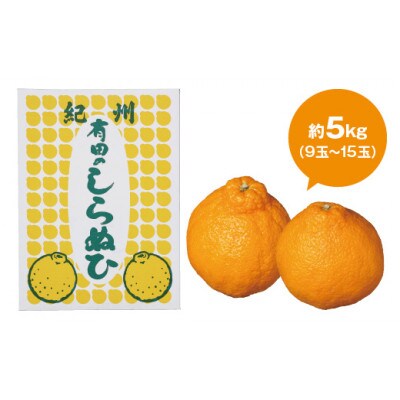 【厳選手選別】　たなか農園　有田のしらぬひ　約5kg(9玉～15玉)