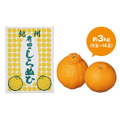 【厳選手選別】　たなか農園　有田のしらぬひ　約3kg(9玉～14玉)