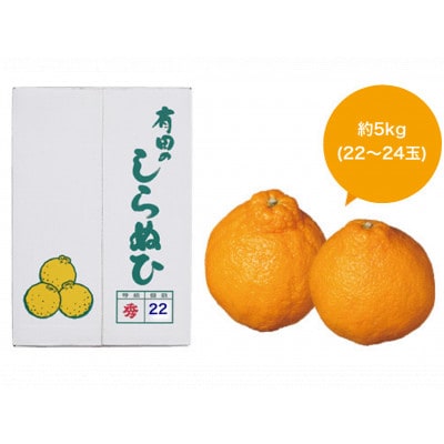 【厳選手選別】　たなか農園　有田のしらぬひ　約5kg(22玉～24玉)