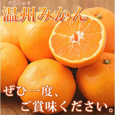【2026年11月下旬より発送【有田川町】【ご家庭用訳アリ】紀州有田産濃厚完熟温州みかん　7.5kg