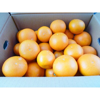 とにかくジューシー清見オレンジ　5kg【有田川町】