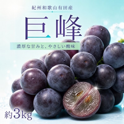 紀州有田産の巨峰ぶどう約3kg
