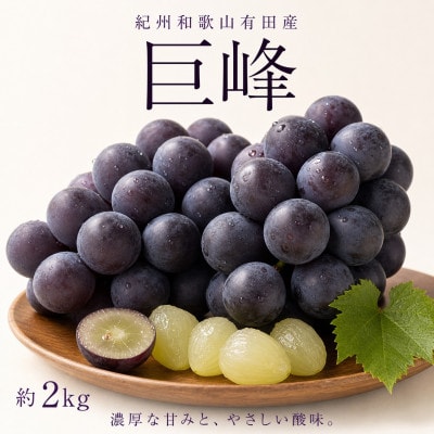 紀州有田産の巨峰ぶどう約2kg