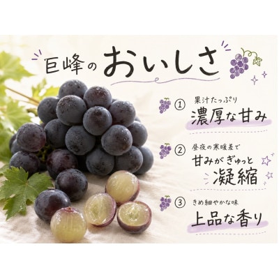 紀州有田産の巨峰ぶどう約2kg