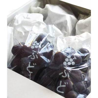 紀州有田産の巨峰ぶどう約2kg