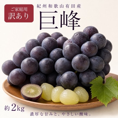 【ご家庭用】紀州有田産の巨峰ぶどう約2kg