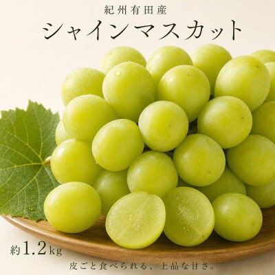 紀州有田産シャインマスカット　約1.2kg