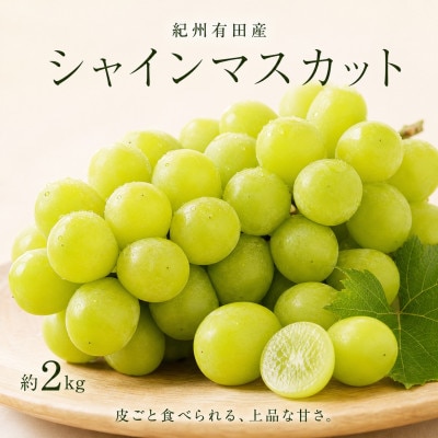 紀州有田産シャインマスカット　約2kg