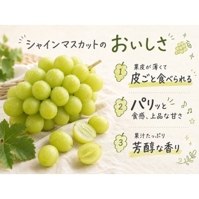 紀州有田産シャインマスカット　約2kg