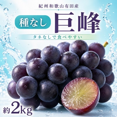 紀州有田産の種なし巨峰ぶどう約2kg