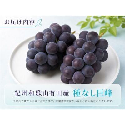 紀州有田産の種なし巨峰ぶどう約2kg