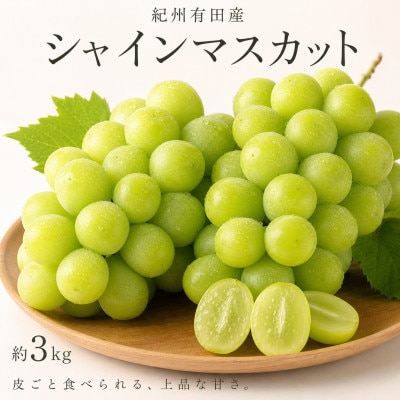 紀州有田産シャインマスカット　約3kg
