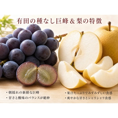 紀州有田産の種なし巨峰と梨セット　計約2kg