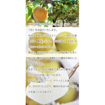 紀州有田産の種なし巨峰と梨セット　計約2kg