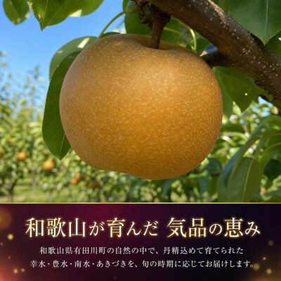 ジューシー果汁の紀州有田産の梨約2kg 　化粧箱入