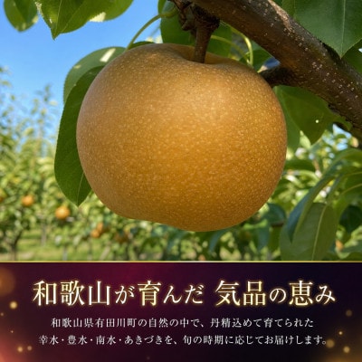 紀州和歌山産の梨　3玉　化粧箱入