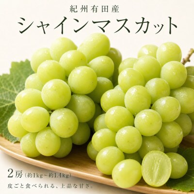 紀州有田産シャインマスカット2房(約1kg～1.4kg)