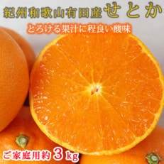 【ご家庭用訳あり】紀州和歌山産　せとか　約3kg