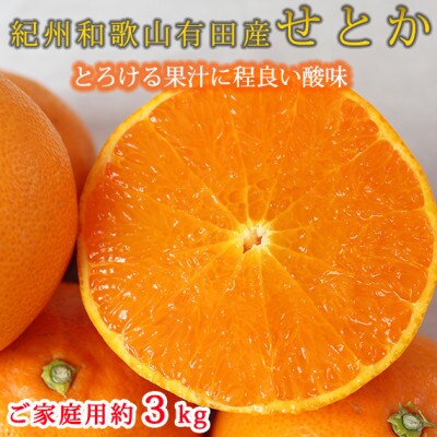 【ご家庭用訳あり】紀州和歌山産　せとか　約3kg