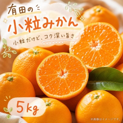 【2026年11月下旬より発送】有田の小粒みかん5kg　(S～3Sサイズ混合)
