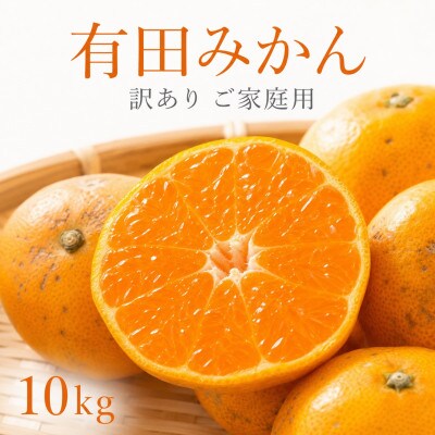 有田みかん10kg【訳ありご家庭用】2S〜2Lサイズ混合