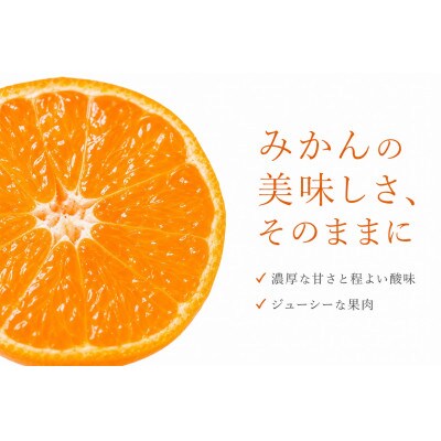 有田みかん10kg【訳ありご家庭用】2S〜2Lサイズ混合