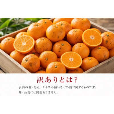 有田みかん10kg【訳ありご家庭用】2S〜2Lサイズ混合