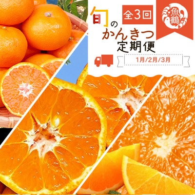 【発送月固定定期便】紀州和歌山産旬の柑橘セット(みかん・不知火・清見)全3回