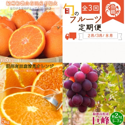 【発送月固定定期便】紀州和歌山産旬の果物セット(不知火・清見・巨峰)全3回