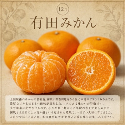【発送月固定定期便】紀州和歌山産旬のフルーツセットA(シャイン・梨・みかん)全3回