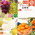 【発送月固定定期便】紀州和歌山産旬のフルーツセットA(巨峰・梨・みかん)全3回