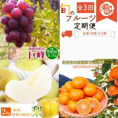 【発送月固定定期便】紀州和歌山産旬のフルーツセットA(巨峰・梨・みかん)全3回