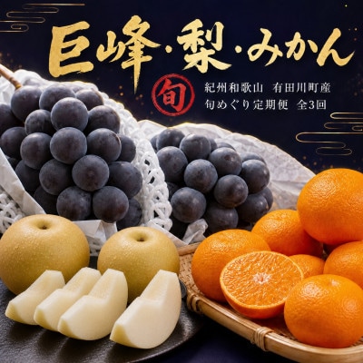 【発送月固定定期便】紀州和歌山産旬のフルーツセットA(巨峰・梨・みかん)全3回