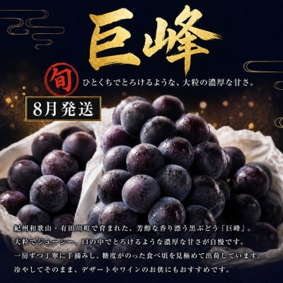 【発送月固定定期便】紀州和歌山産旬のフルーツセットA(巨峰・梨・みかん)全3回