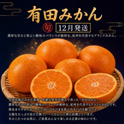 【発送月固定定期便】紀州和歌山産旬のフルーツセットA(巨峰・梨・みかん)全3回
