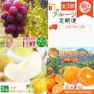 【発送月固定定期便】紀州和歌山産旬のフルーツセットB(巨峰・梨・みかん)全3回