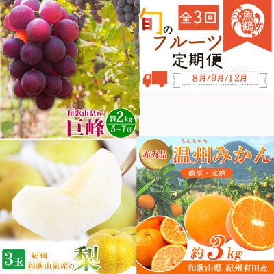 【発送月固定定期便】紀州和歌山産旬のフルーツセットB(巨峰・梨・みかん)全3回