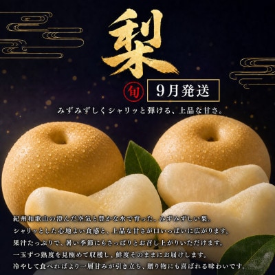 【発送月固定定期便】紀州和歌山産旬のフルーツセットB(巨峰・梨・みかん)全3回