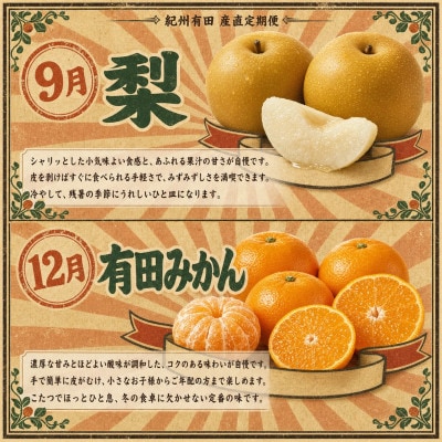 【発送月固定定期便】紀州和歌山産旬のフルーツセット(シャイン・梨・みかん・不知火)全4回