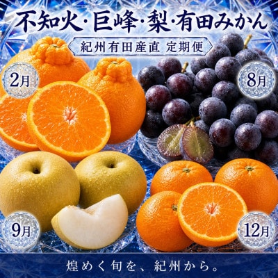【発送月固定定期便】紀州和歌山産旬のフルーツセット(巨峰・梨・みかん・不知火)全4回