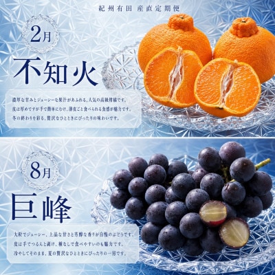 【発送月固定定期便】紀州和歌山産旬のフルーツセット(巨峰・梨・みかん・不知火)全4回