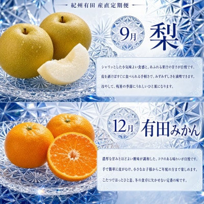【発送月固定定期便】紀州和歌山産旬のフルーツセット(巨峰・梨・みかん・不知火)全4回