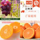 【発送月固定定期便】紀州和歌山産旬のご家庭用フルーツセット(巨峰・みかん・不知火)全3回